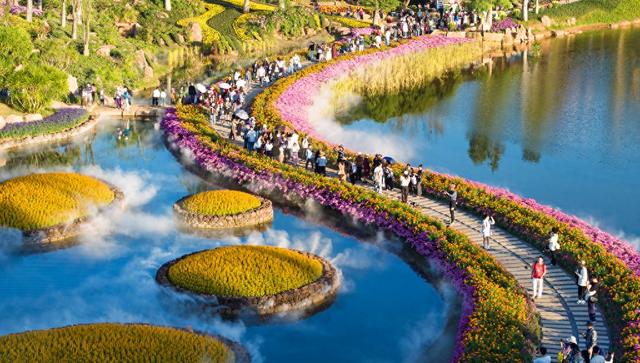 广西南宁：水雾弥漫绚烂花海 市民乐享冬日浪漫