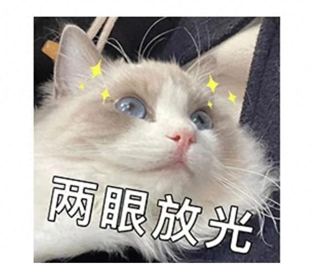 上海再发消费券！迪士尼能用！共10轮！今天12点开启