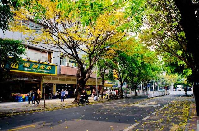 广州一日游三条路线攻略（广州一日游攻略）