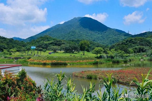 深圳新手必刷！5公里山海徒步，地铁直达→