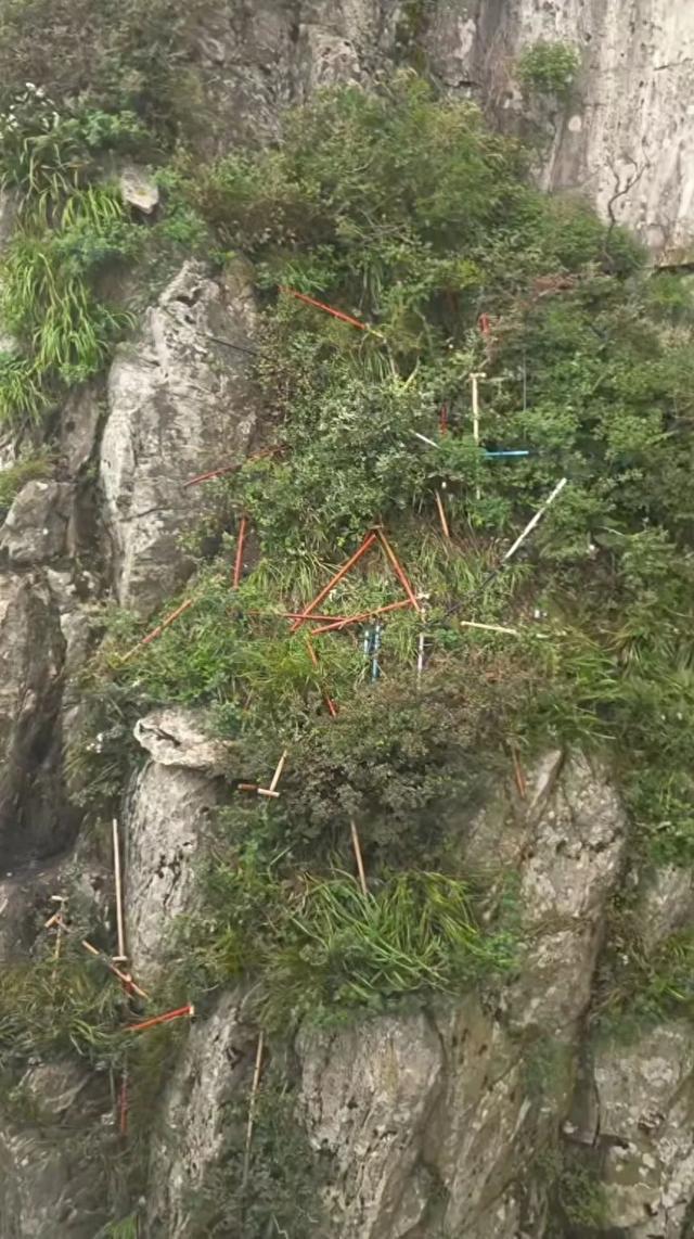 “有没有想过谁收拾？”泰山景区多处可见被丢弃登山杖，悬崖下也有！
