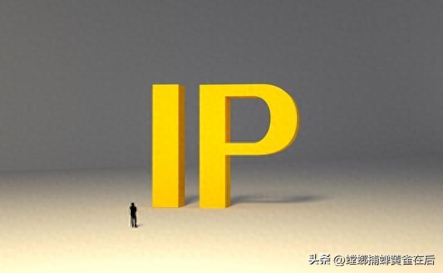 IP地址的管理和分配有什么规则（小区监控系统IP地址规划总表）