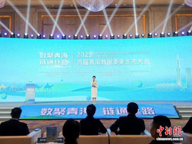 2025首届青海数据要素生态大会开幕