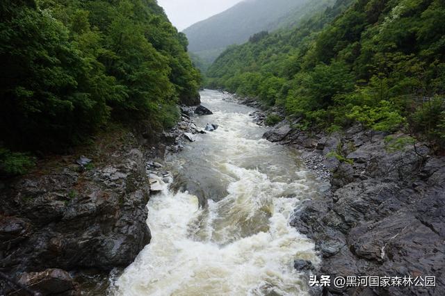 陕西黑河国家森林公园紧急闭园通告