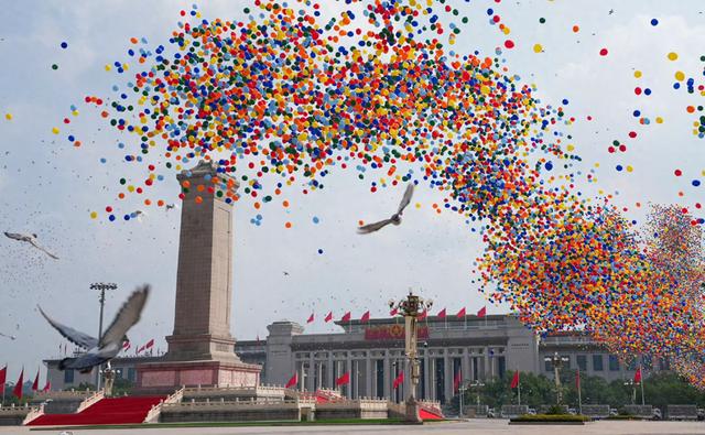 笑不活了！九三阅兵结束后鸽子走失，网友：你叔家20只 就回来4个