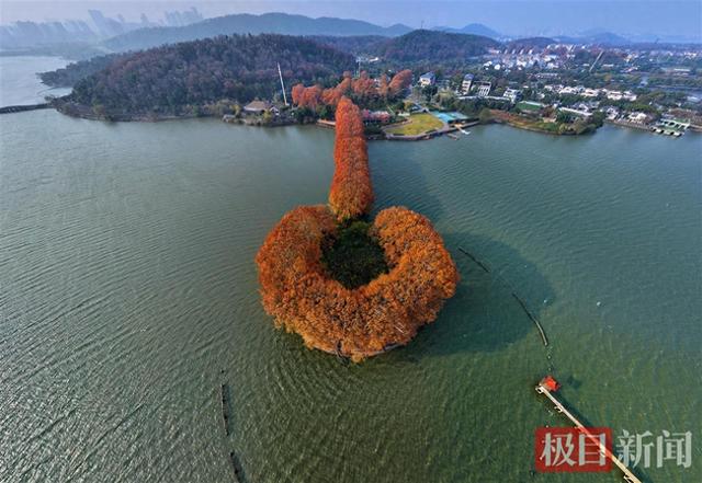 “金汤勺”舀动东湖碧波，原来是大自然在喂你一口深秋