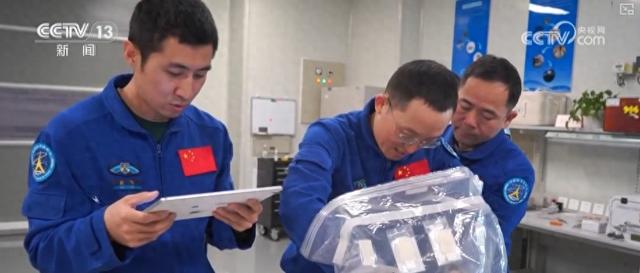 小鼠、向日葵、地黄……“太空家园”迎来“新伙伴” 航天员在轨生活充实有趣