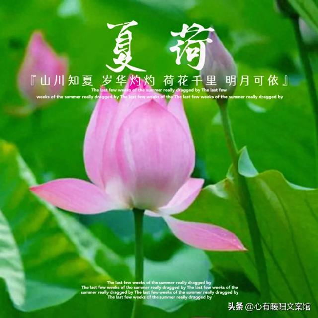 非常有内涵的个性签名（惊艳的个性签名）