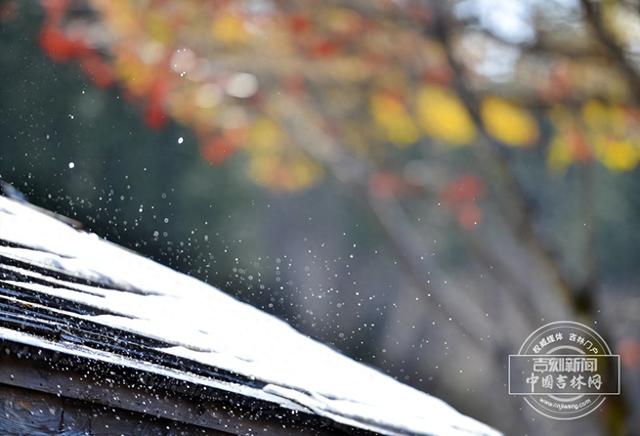 不用飞国外！吉林北纬43°，藏着世界级粉雪