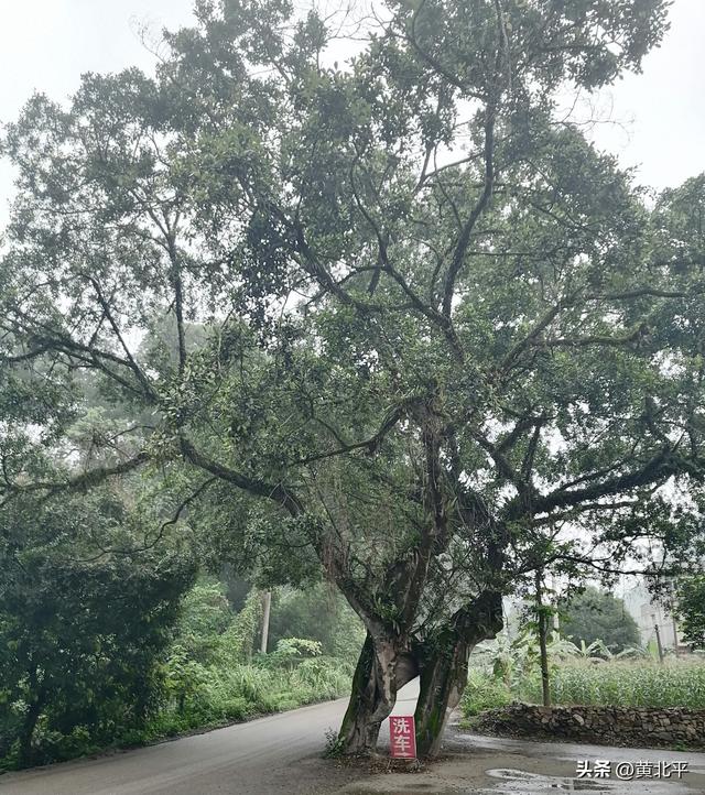 广西百色靖西市与越南临近的小圩，跟边民聊天后颠覆对当地的认知