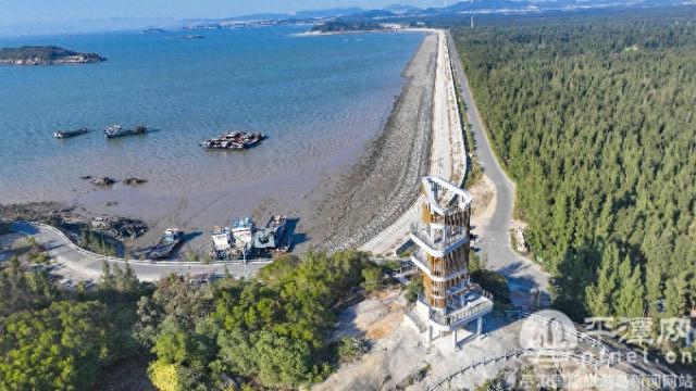 从风沙线到风景线：平潭马腿村的绿色蝶变