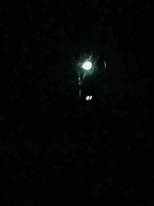 暂别