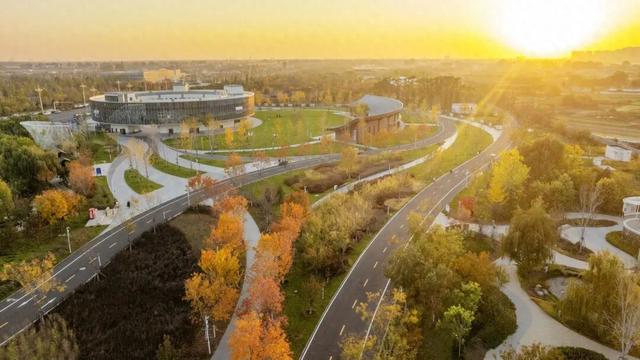 打卡定州限定秋景！