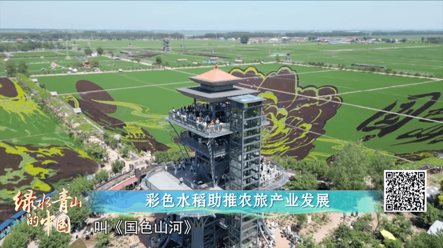 辽宁：邂逅彩色浪漫！带你走进“稻梦空间”