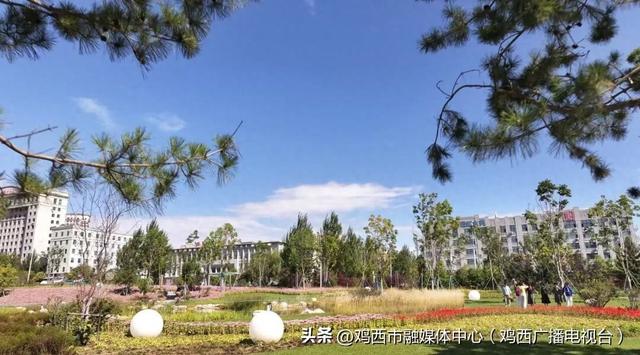 【迎旅发 看鸡西】我市多座口袋公园开放，“出门入园” 成真了