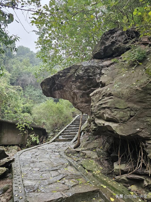 大山之诱惑，有雨天，有流泉，有飞瀑，有怪石，有森林，有魅力