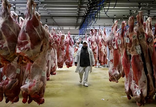 当“反肉食精英”打起“信息战”：一份报告揭开背后黑幕