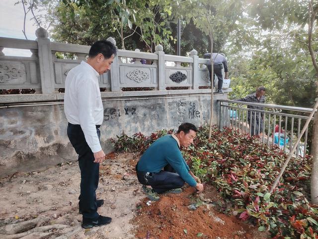 甲子待渡山，初冬披绿迎宾客