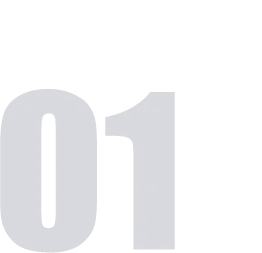 看！是合肥的树！