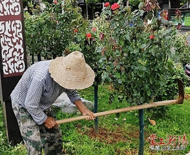 喜迎国庆中秋，沿江风光带换“秋装”