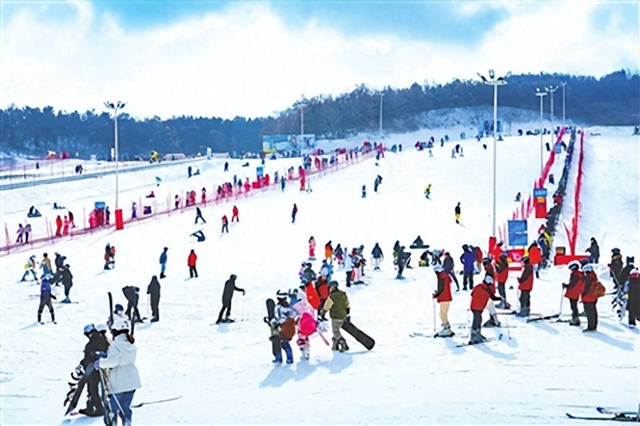 “冬游西海岸”：179项玩法3610场狂欢 11月起至今已吸引市民游客155万人次