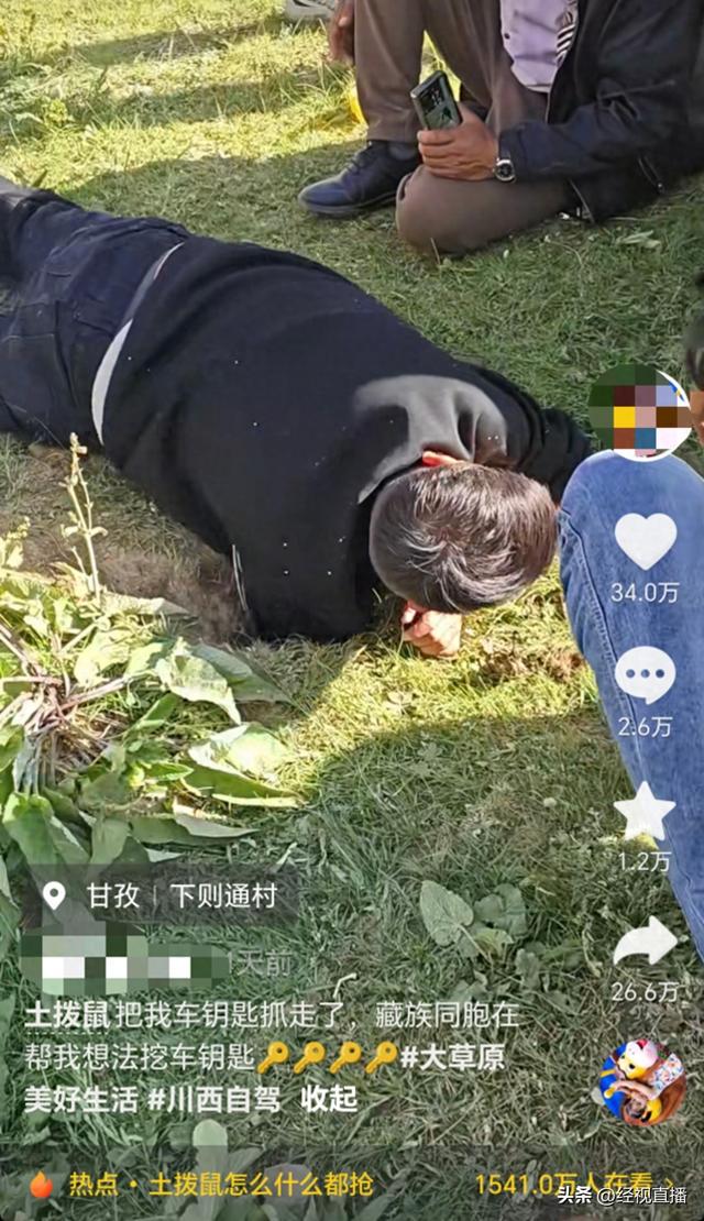 自驾川西，车钥匙被土拨鼠叼进洞！当事人：历时三个半小时， 最终用强力磁铁吸出来