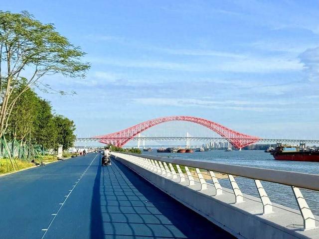 打造“海—路—城”亲海新地标！南沙6.5公里滨海骑行道全线贯通