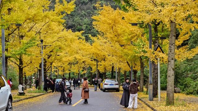 秋日限定“皮肤”上线，藏蓝连接成功