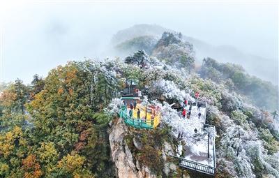 河南西峡老界岭现“一山分两季”景观