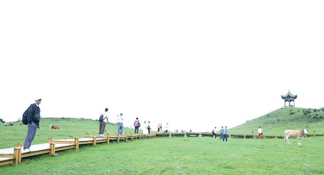 生态美景醉游人 夏日避暑正当时