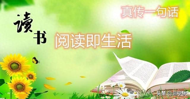 聊城葫芦节奇遇记：这届葫芦节逛懵圈了，竟然有那么多的想不到