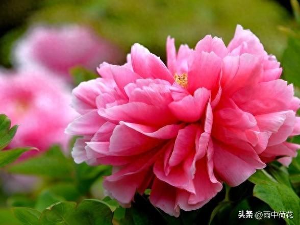 晚年苦不苦，全看七十五：这4手备好，余生安稳舒心