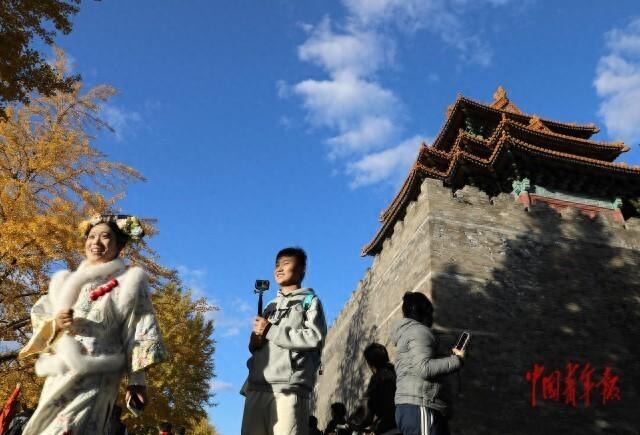 故宫角楼银杏黄