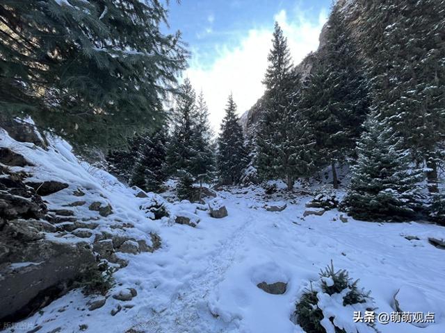 12岁时的我，过年与妈妈各自在山顶摆摊，妈妈奖励了我一碗炒凉皮