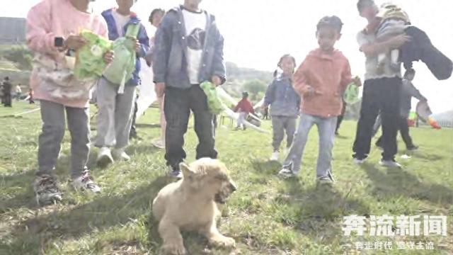 双节期间，兰州野生动物园推出“月圆国庆·奇遇金秋”嘉年华活动