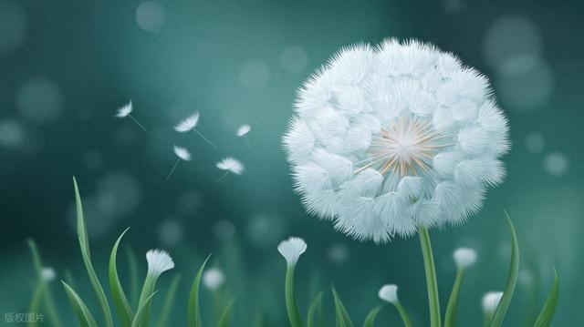 一次性学透|单词变复数后 “s” 的发音规则