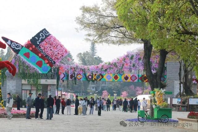 石林已被繁花拥裹，这份赏花攻略请收好
