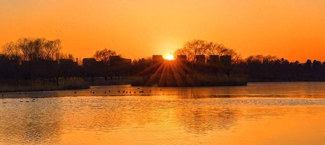 夕阳如画点缀京城！点击收藏腊八节里的冬日美景
