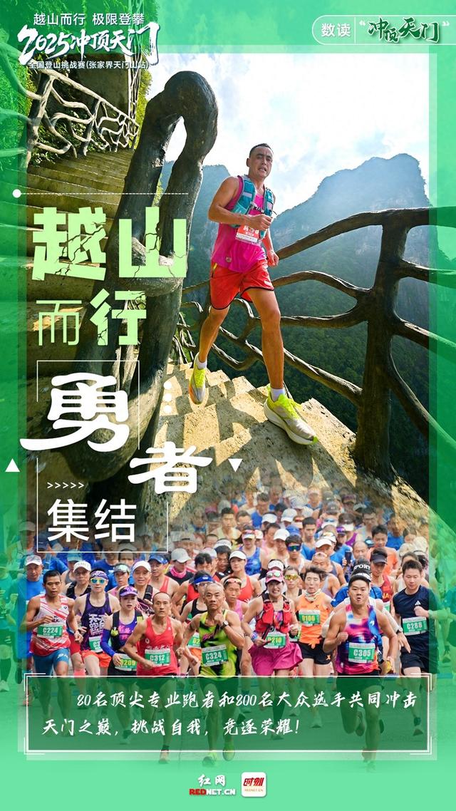 “数”读 | 冲顶天门，步履不凡！