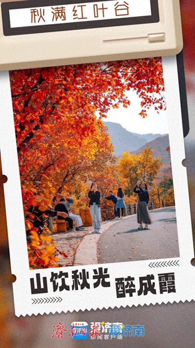 海报合集│济南红叶谷剪映深秋最美时光