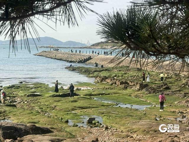 秋高气爽，青岛海边游玩正当时