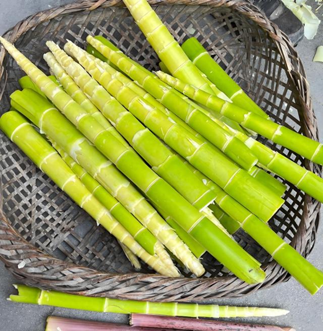 新鲜竹笋处理方法是什么（生竹笋直接炒这几个坑别踩教你把竹笋做得又香又嫩）