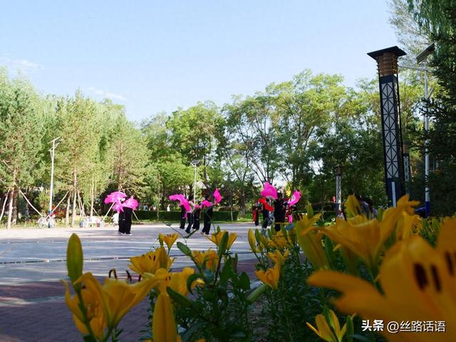 图集丨山丹：百合盛开，许你一个浪漫盛夏！