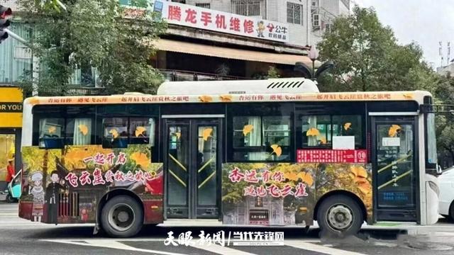 黄平开通“杏运”主题公交 邀您共赴飞云崖“金色秘境”