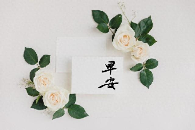 未来可期唯美句子短句（充满希望的早安文案｜晨光熹微）