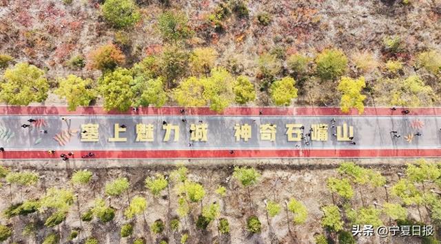 红叶为媒 徒步作序 石嘴山金秋徒步嘉年华打造文旅新体验