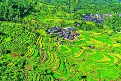 【大美中国】苗寨入画来