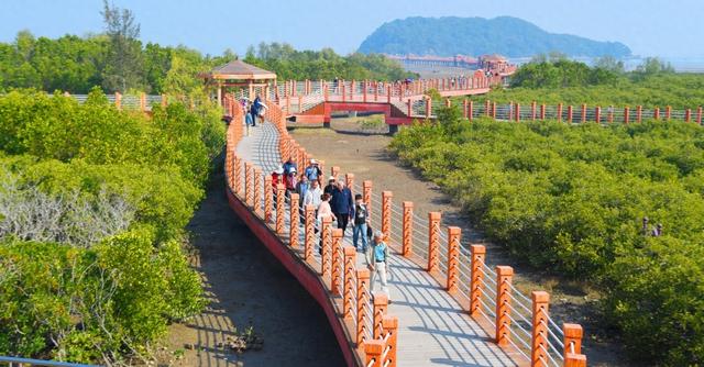 闸坡镇四条风貌带提质增颜