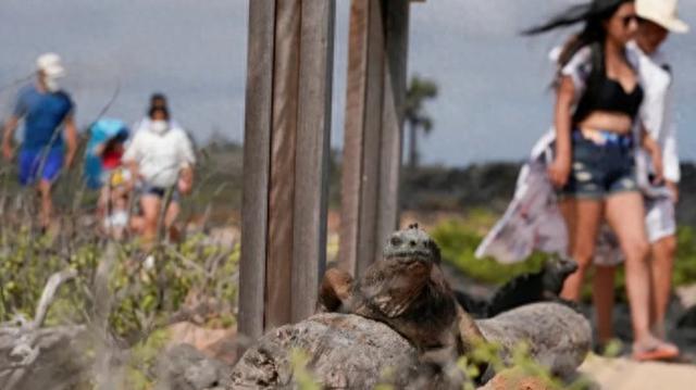 从“偏远天堂”到游客爆棚，马丘比丘陷过度旅游危机