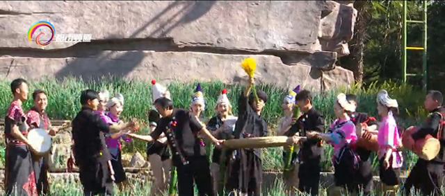 哈尼族“十月年”来了！来云南民族村感受民族风情